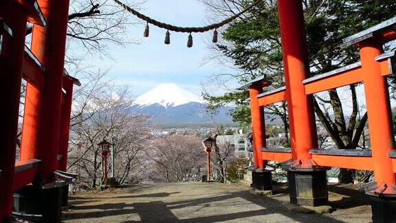 樱花盛开的富士山