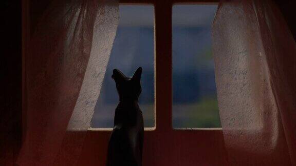 隐喻性的静物在窗边等待猫