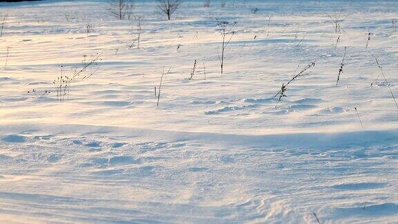 吹雪