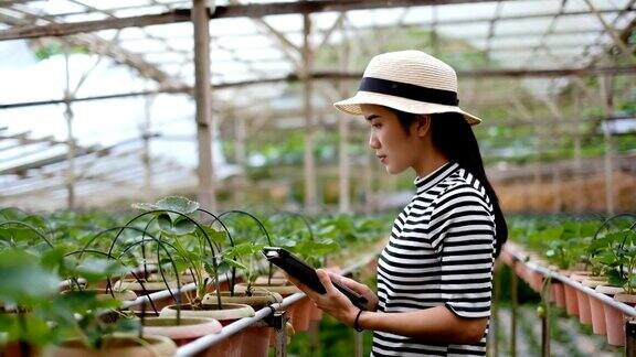 农业:亚洲女性农民与数字平板电脑在田间智能农业和技术概念