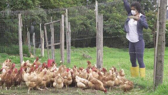 卷发妇女戴着口罩在她的农场喂鸡