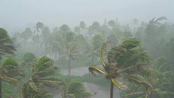 暴雨和大风袭击夏威夷