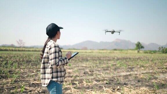 农民使用无人机在农民智能农场