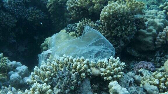 漂在美丽的珊瑚礁附近的塑料袋附着在他身上被海浪捡起漂在更远的地方一群热带鱼在背景蓝色的水中游泳塑料污染4k50帧秒