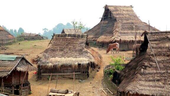 老挝蓬萨利阿卡部落村的土著部落文化