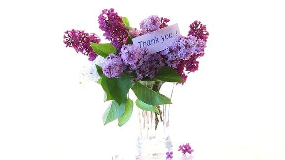 在白色背景的花瓶里有一束不同盛开的春天紫丁香