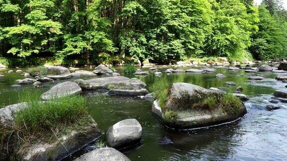 景观有森林河流和石头