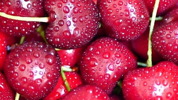 成熟多汁的深红色樱桃与水滴