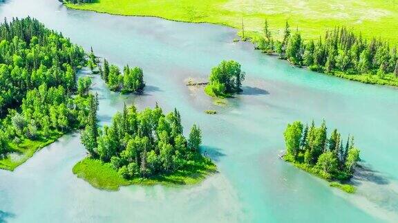 鸟瞰图的绿色森林和河流在喀纳斯新疆中国