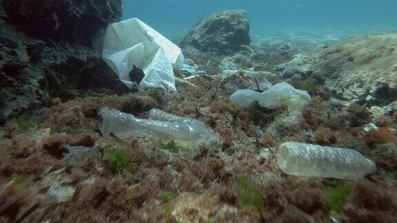 缓慢的运动海底的塑料污染瓶子袋子和其他塑料垃圾在海底热带鱼在覆盖着大量塑料垃圾的海底游泳向前运动