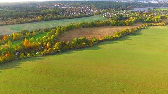 摄像机在拉德布扎河上空飞行捷克乡村的秋天五彩缤纷欧洲的自然