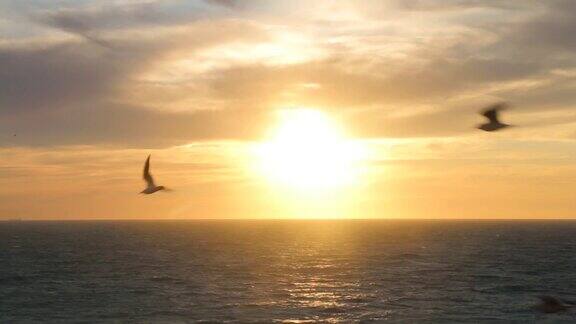 在海滩上鸟儿逆风飞翔落日映照海和太阳