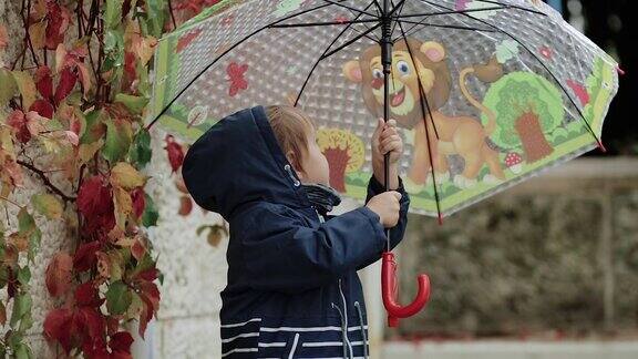 悲伤的小男孩站在雨中的雨伞下背景是秋天的黄叶