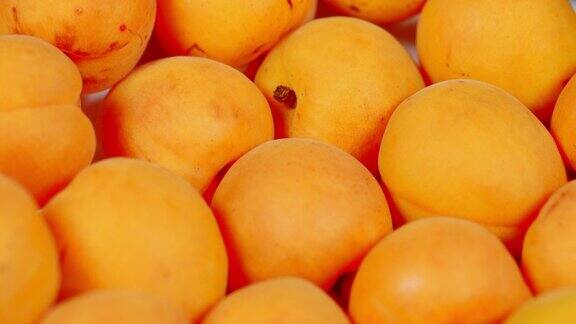 多汁的成熟杏子水果健康的素食饮食