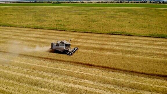 直升机飞过灰色的联合收割机在绿色麦田附近的大片农田上割下黄色的小穗来收割大麦