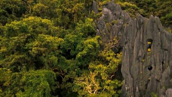 热带雨林在山上鸟瞰