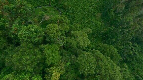 丛林雨林山河瀑布亚洲热带村庄郁郁葱葱的绿色鸟瞰图