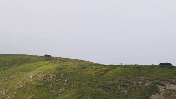 一群背着徒步背包的游客攀登山脉远处的观点