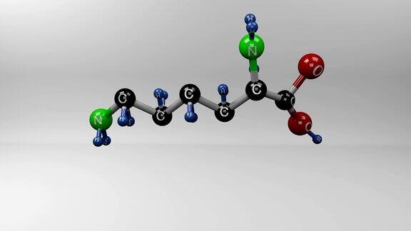 赖氨酸分子