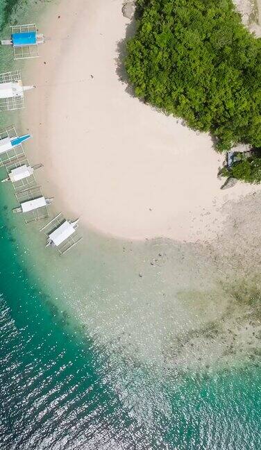 热带岛白色沙滩的景色菲律宾