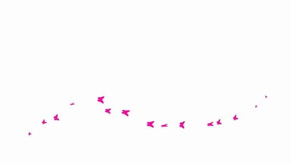 动画粉色蝴蝶从左到右飞行一波蝴蝶夏天矢量图孤立在白色背景上