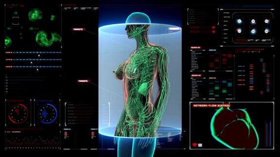 女性人体扫描淋巴系统在数字显示仪表盘