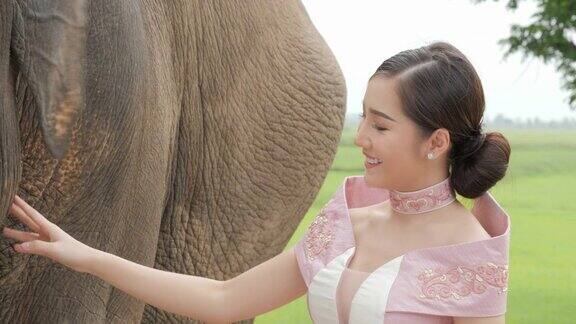 温柔的年轻迷人的亚洲女人在传统服装与大象理念:爱动物温柔爱自然