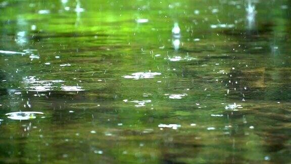 SLOMO雨滴落在浅池塘上