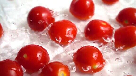 红樱桃番茄落入水中洗西红柿在白色背景上缓慢的运动