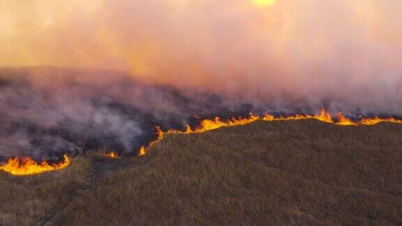 由干旱和气候变化引起的奥卡万戈三角洲的一场草火的全景鸟瞰图博茨瓦纳