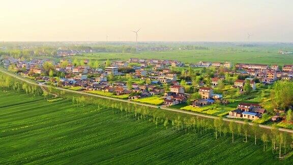 中国绿色麦田和乡村景观的航拍镜头