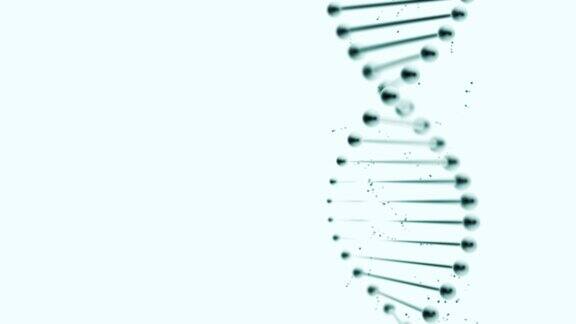 白色背景上扭曲的DNA复制品