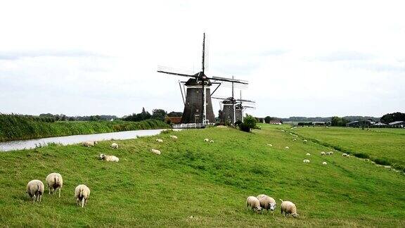 在荷兰风车