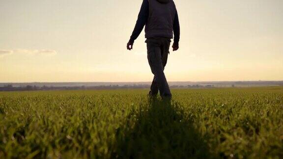 低角度拍摄的一个农民走在田野上的日落