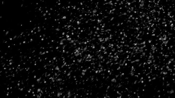 4K落雪黑色背景Alpha(可循环)