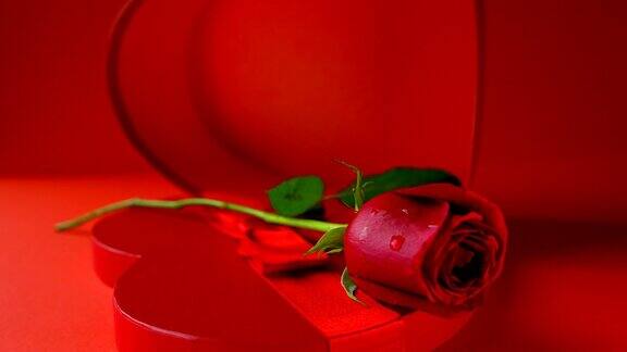 情人节:空的心形盒子红玫瑰和红色背景