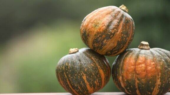 以质朴的木制背景为背景的南瓜代表秋天、感恩节、万圣节或丰收