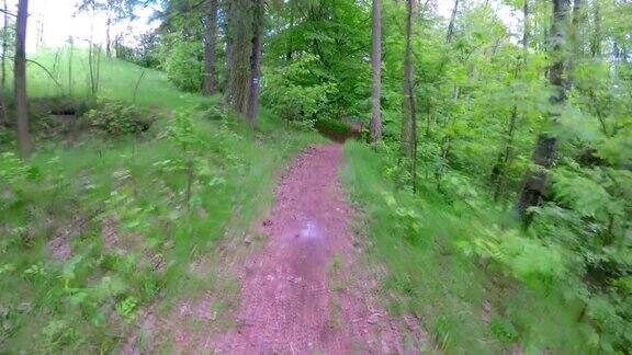 走在森林的小路上