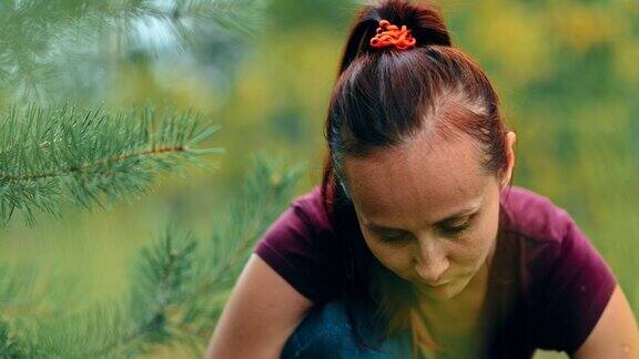 年轻女子坐在一棵云杉旁采摘庄稼蘑菇肖像的观点