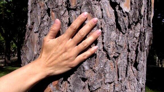 女人用手抚摸着树