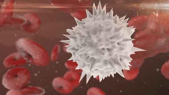 白细胞和红细胞显微镜3d渲染