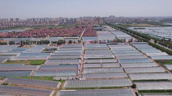 航拍中国现代温室农场