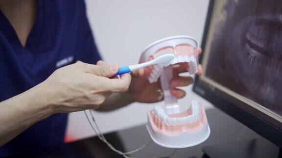 牙医刷假牙