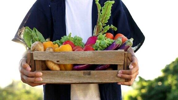 蔬菜和健康饮食