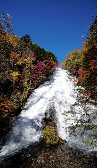 瀑布在秋天与森林改变颜色的日光日本慢镜头