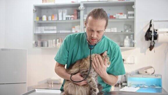 男兽医在检查室里听着猫的心脏和肺