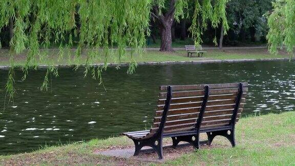 河边绿树下的公园长椅