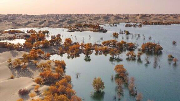 新疆湖泊鸟瞰图