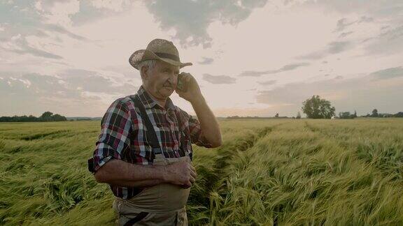 站在田地中间用手机打电话的资深农民