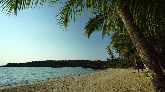 天堂岛上美丽的热带海滩和大海还有椰子树